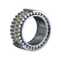Double Row Cylindrical Roller Bearings